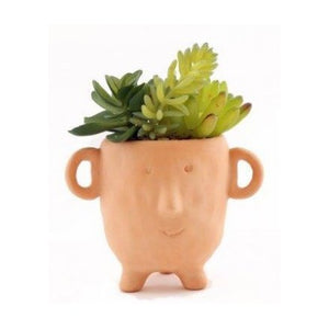 Terracotta Pot With Foliage, 14cm