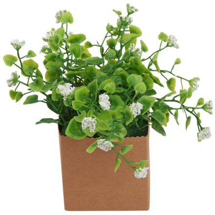 White Faux Floral Plant