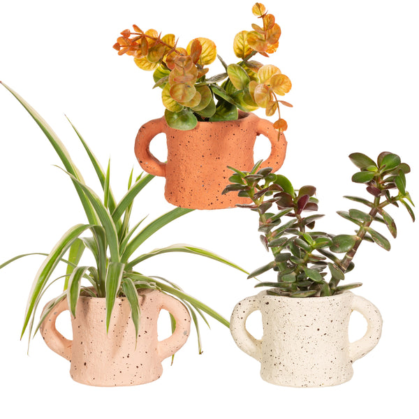Mini Handle Planter - Assorted