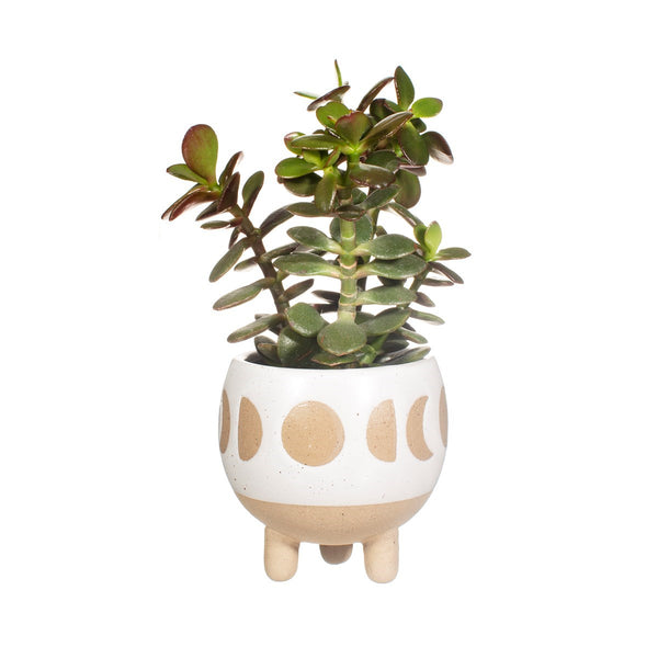 Moon Phases Small Planter White
