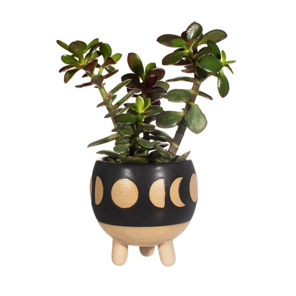 Moon Phases Small Planter Black