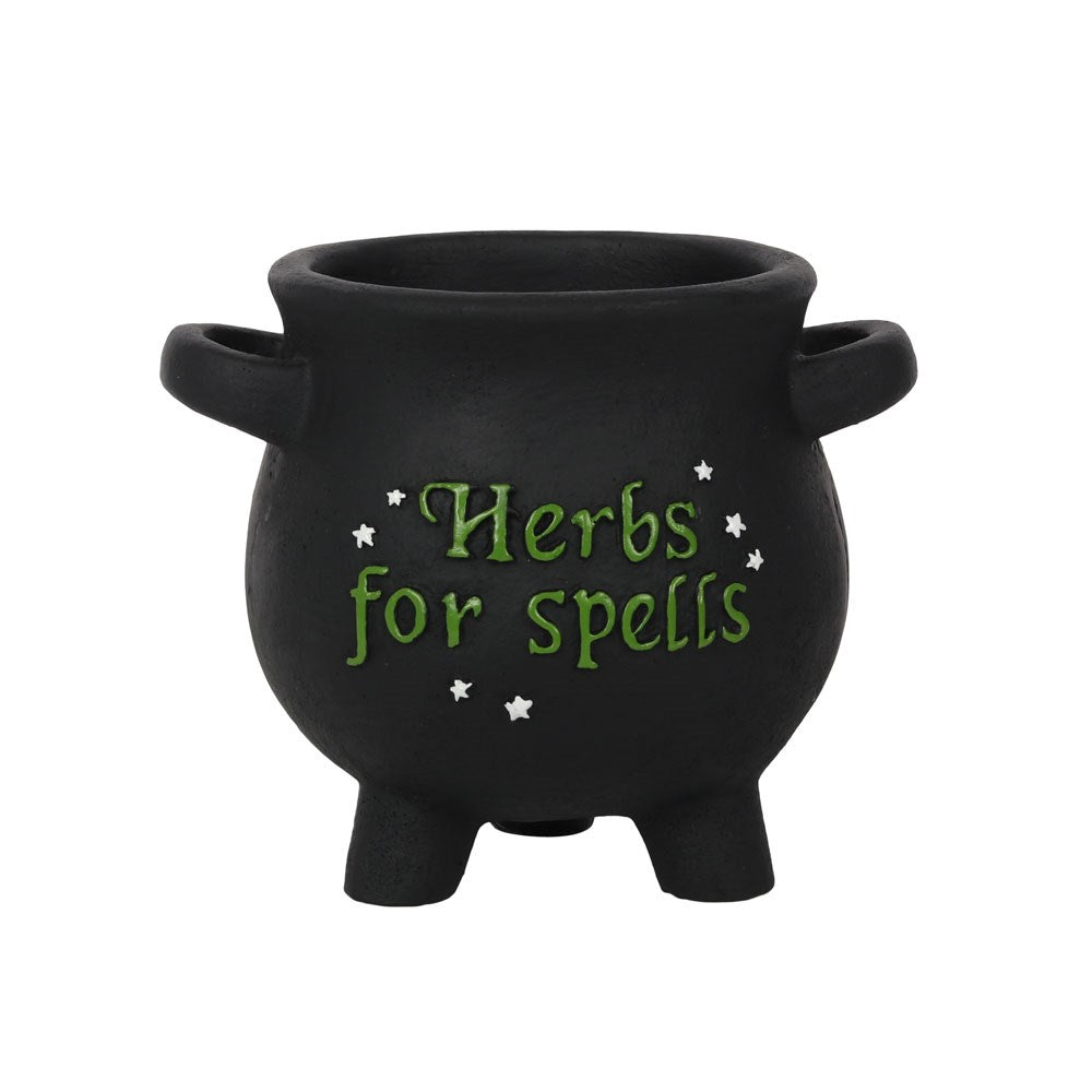 Herbs For Spells Cauldron Plant Pot