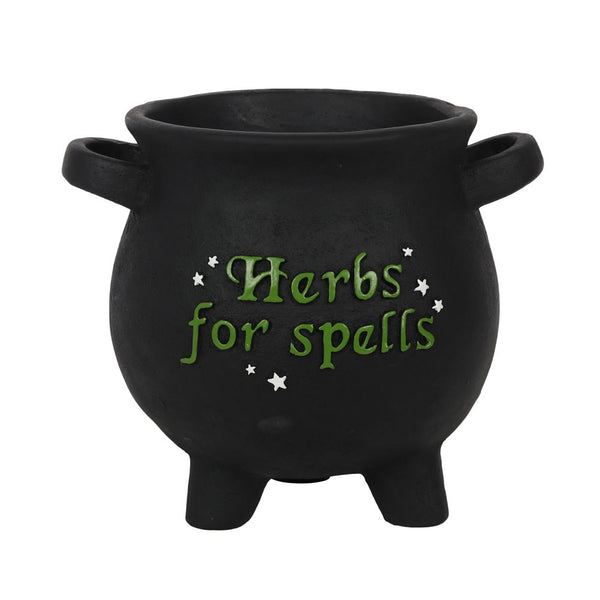 Large Herbs For Spells Cauldron Plant Pot