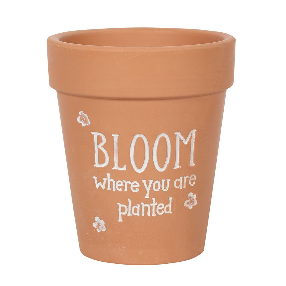 Bloom Where You Are Planted Terracotta Plant Pot