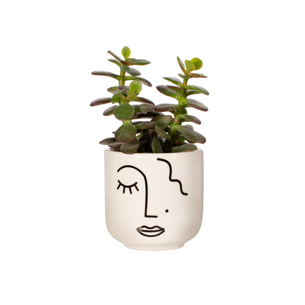 Abstract Face Mini Planter