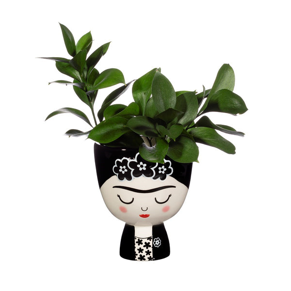 Frida Monochrome Planter