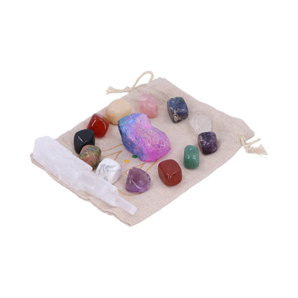 Healing and Wellness Crystal and Gemstone Collection