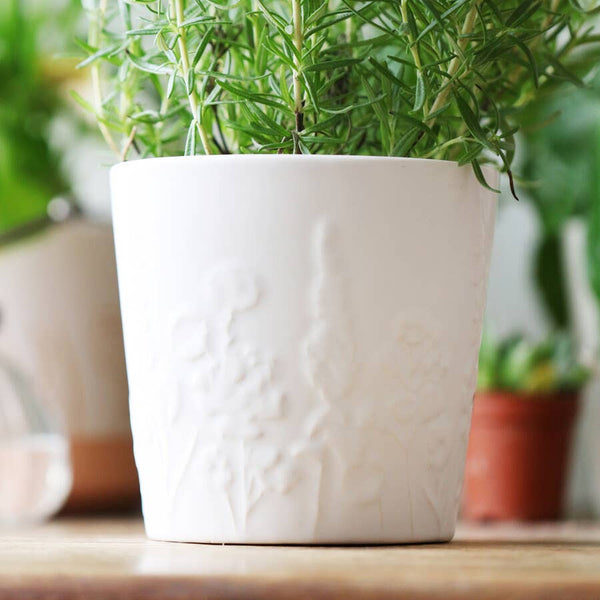 Ceramic Raised Wildflower Pot